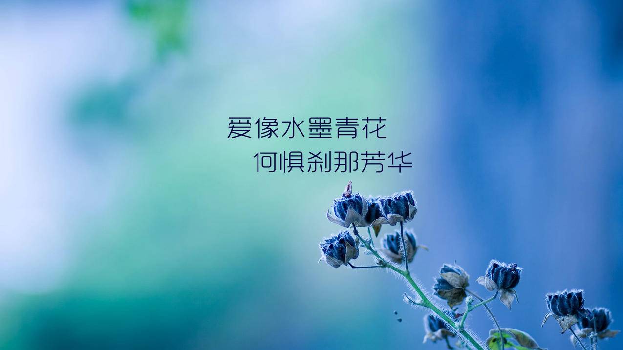 ks恋人亲密度自助下单-抖音24小时自助业务-抖音业务24小时在线下单购买网站